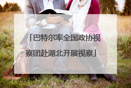 巴特尔率全国政协视察团赴湖北开展视察